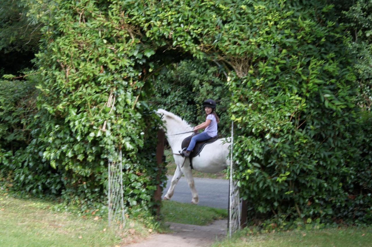 Fosse Farmhouse Holiday Cottages Chippenham  Buitenkant foto
